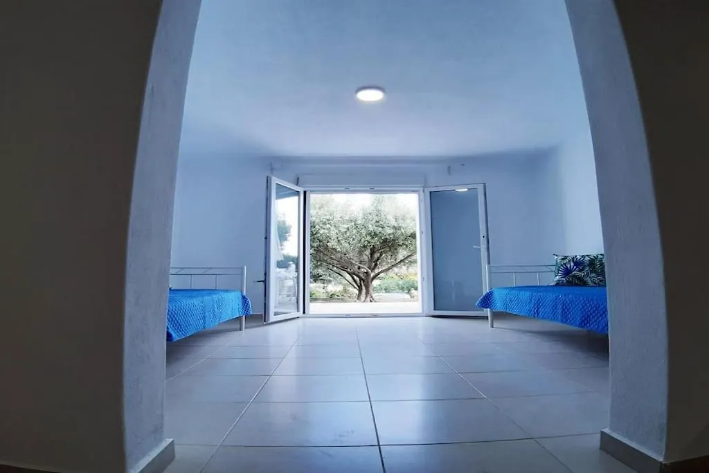 Trikorfo Beach Apartment, 100M From Sandy Beach Psakoudia