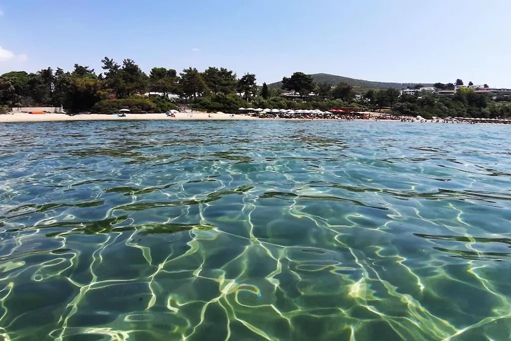 Trikorfo Beach Apartment, 100M From Sandy Beach Psakoudia Apartment