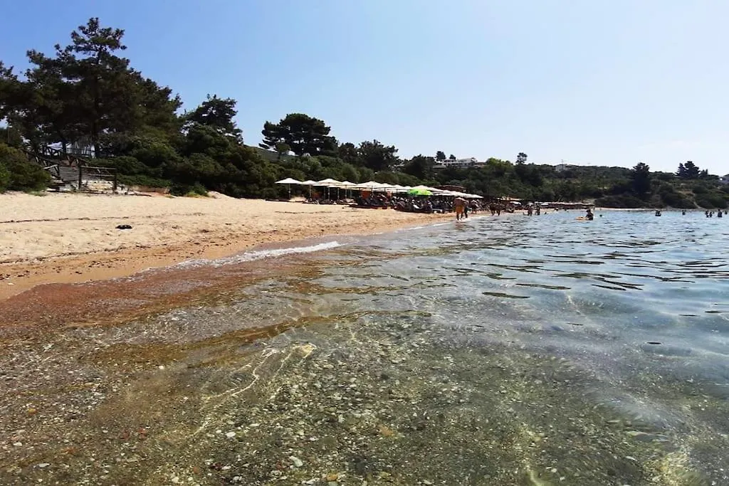 Trikorfo Beach Apartment, 100M From Sandy Beach Psakoudia
